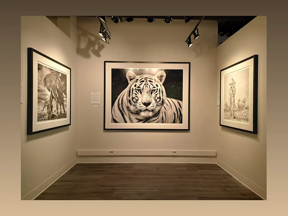 Discover the Artistic Delights of Relévant Galleries in Park City - -1106689656