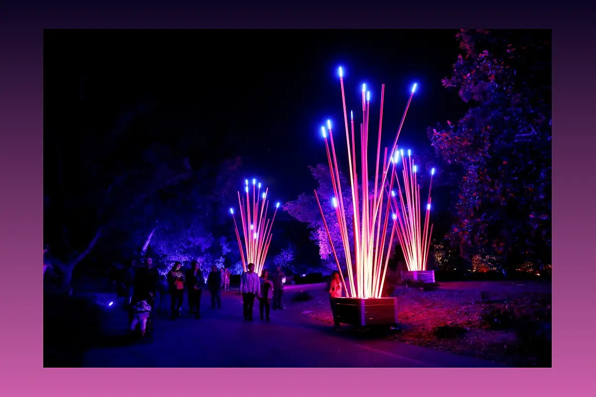 Lightscape at Los Angeles County Arboretum: A Cozy and Enchanting Winter Wonderland - 934537553